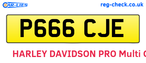 P666CJE are the vehicle registration plates.