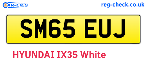 SM65EUJ are the vehicle registration plates.