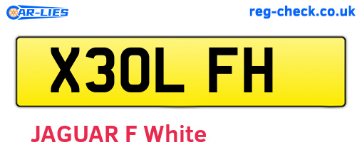 X30LFH are the vehicle registration plates.