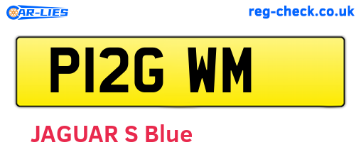 P12GWM are the vehicle registration plates.