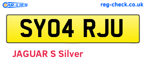 SY04RJU are the vehicle registration plates.