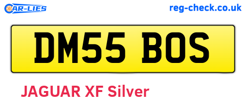 DM55BOS are the vehicle registration plates.