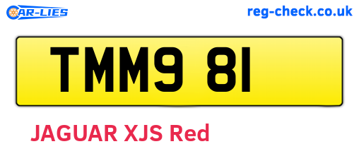 TMM981 are the vehicle registration plates.
