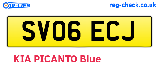 SV06ECJ are the vehicle registration plates.