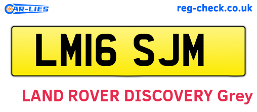 LM16SJM are the vehicle registration plates.