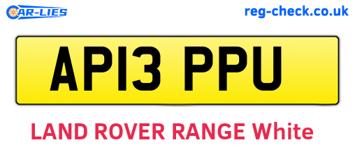 AP13PPU are the vehicle registration plates.