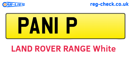 PAN1P are the vehicle registration plates.
