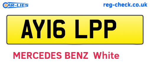 AY16LPP are the vehicle registration plates.