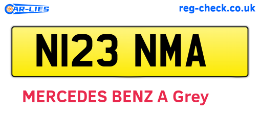 N123NMA are the vehicle registration plates.