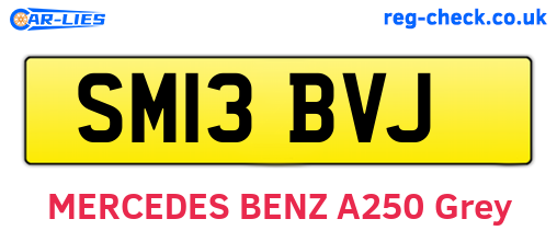 SM13BVJ are the vehicle registration plates.