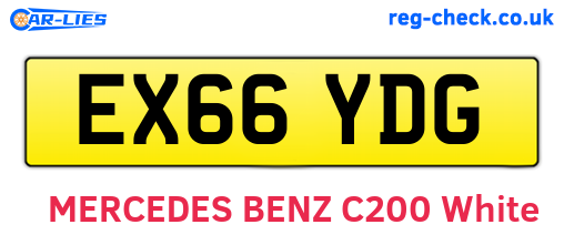 EX66YDG are the vehicle registration plates.