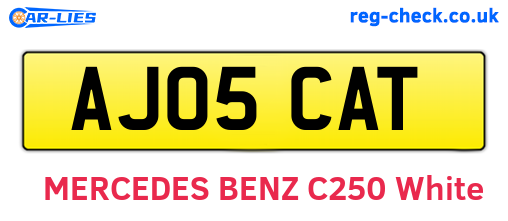 AJ05CAT are the vehicle registration plates.