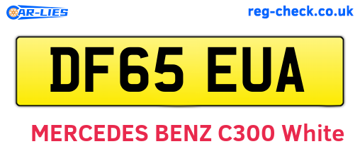 DF65EUA are the vehicle registration plates.