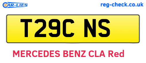 T29CNS are the vehicle registration plates.