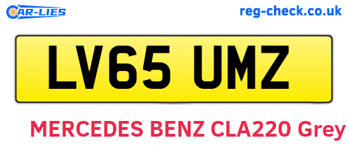 LV65UMZ are the vehicle registration plates.