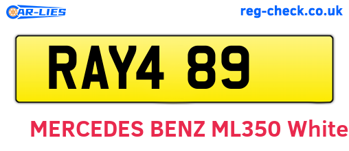 RAY489 are the vehicle registration plates.