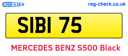 SIB175 are the vehicle registration plates.