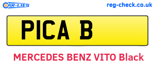 P1CAB are the vehicle registration plates.