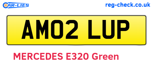 AM02LUP are the vehicle registration plates.