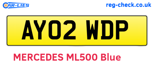 AY02WDP are the vehicle registration plates.