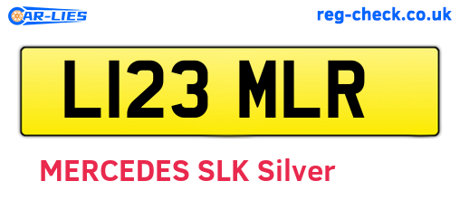 L123MLR are the vehicle registration plates.