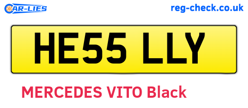 HE55LLY are the vehicle registration plates.