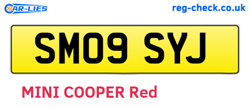 SM09SYJ are the vehicle registration plates.