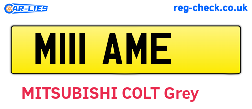 M111AME are the vehicle registration plates.