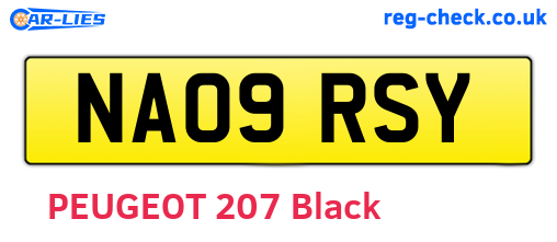 NA09RSY are the vehicle registration plates.