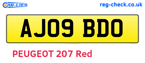 AJ09BDO are the vehicle registration plates.