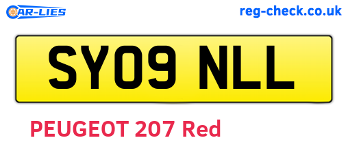 SY09NLL are the vehicle registration plates.