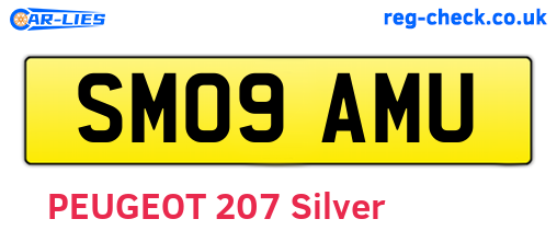 SM09AMU are the vehicle registration plates.