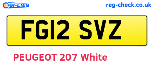 FG12SVZ are the vehicle registration plates.