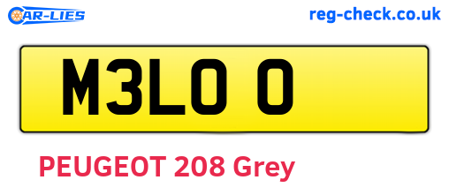M3LOO are the vehicle registration plates.