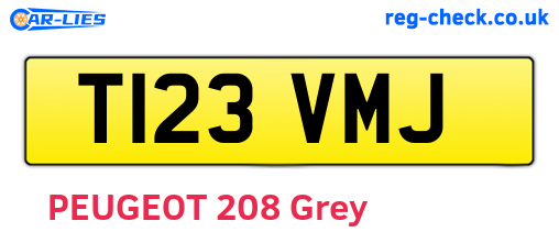 T123VMJ are the vehicle registration plates.