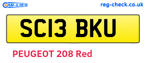 SC13BKU are the vehicle registration plates.