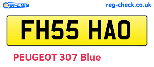 FH55HAO are the vehicle registration plates.