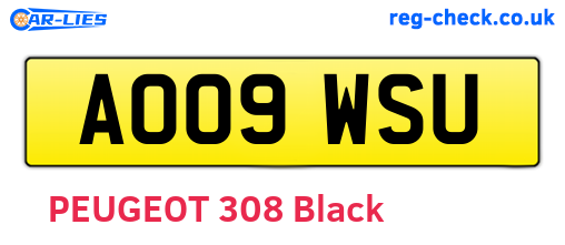 AO09WSU are the vehicle registration plates.