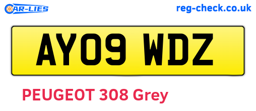AY09WDZ are the vehicle registration plates.