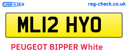 ML12HYO are the vehicle registration plates.