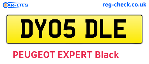 DY05DLE are the vehicle registration plates.