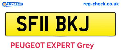 SF11BKJ are the vehicle registration plates.