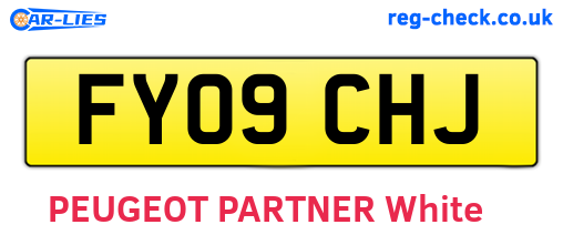 FY09CHJ are the vehicle registration plates.