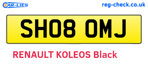 SH08OMJ are the vehicle registration plates.