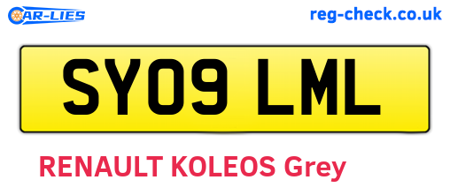 SY09LML are the vehicle registration plates.