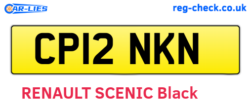 CP12NKN are the vehicle registration plates.