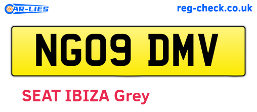 NG09DMV are the vehicle registration plates.