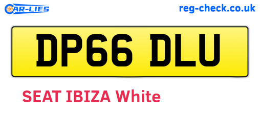DP66DLU are the vehicle registration plates.