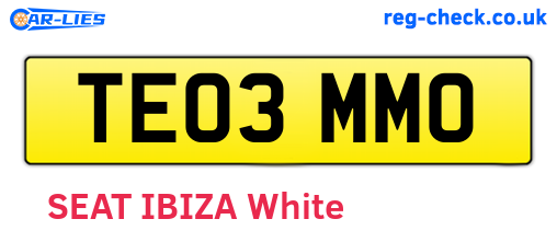 TE03MMO are the vehicle registration plates.