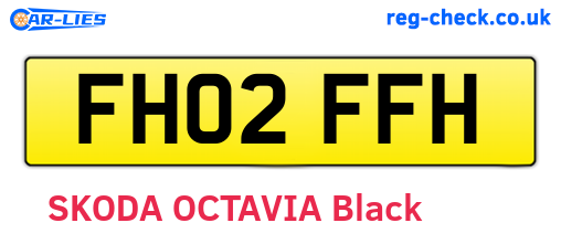 FH02FFH are the vehicle registration plates.